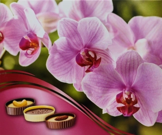 Plněné čokoládové lodičky - Orchidej